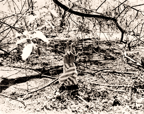 From Beyond The Grave