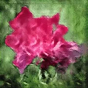 Evolution of a Flower #7