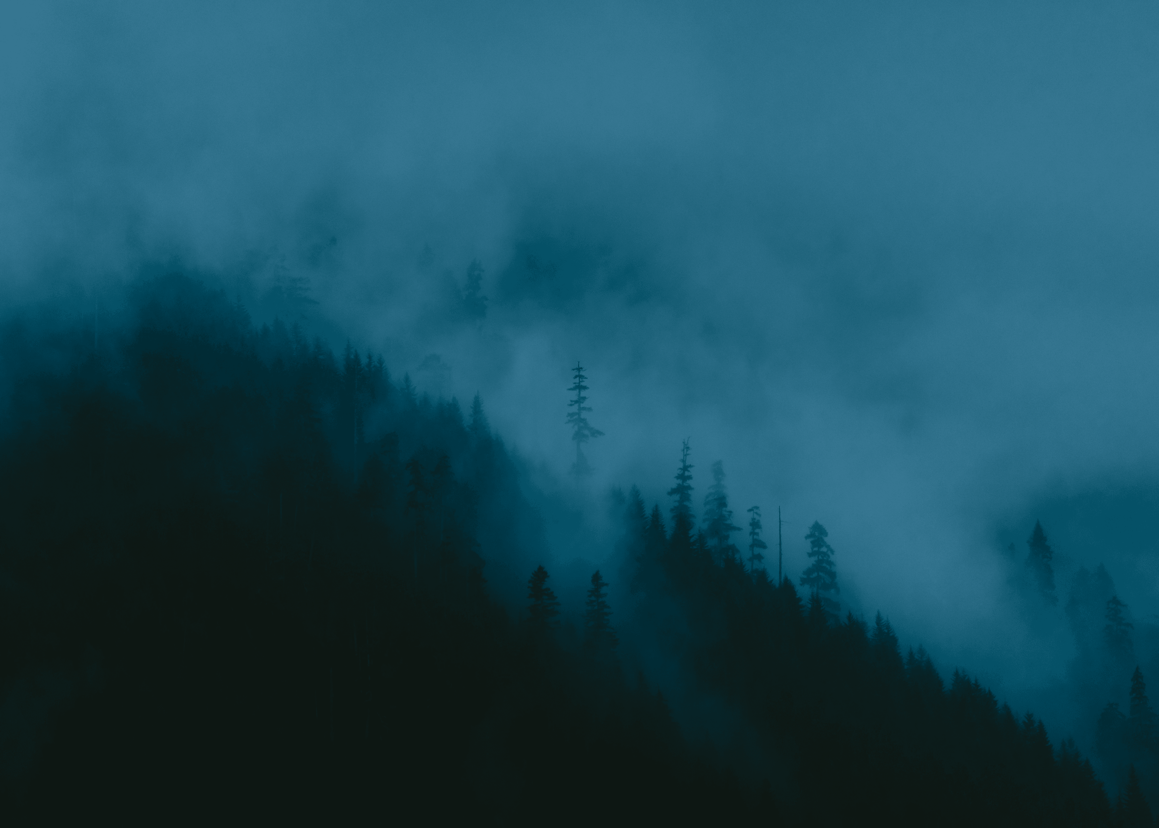 Blue Shift #4: Standing Tall