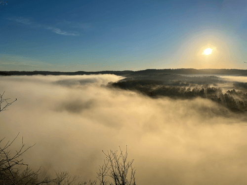 Morning fog