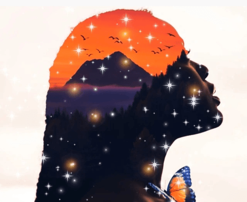Creative Universe