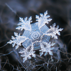 Real snowflakes collection image