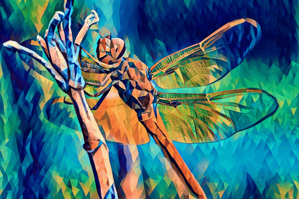 Dragonfly Iris Folding Pattern by Deb Wilson 