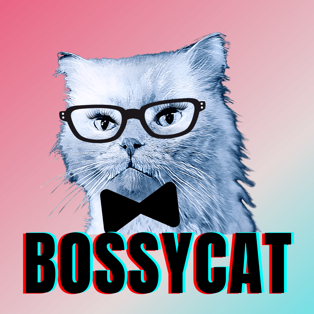 #bluecatmax #3 bossy cat