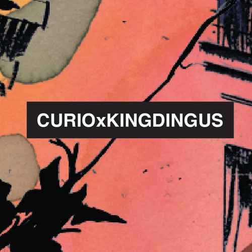 CURIOxKINGDINGUS