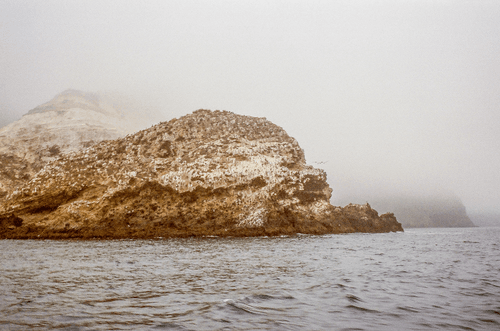Shot on Film #10 - No man is an Island