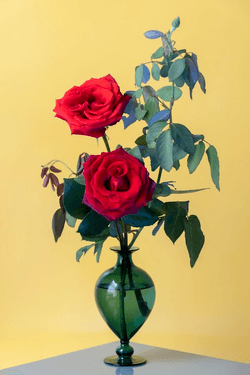 Cypher's Flowers collection image