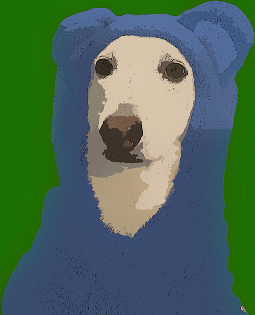 WileyBear27
