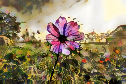 Wild Flower, Study, op. 2