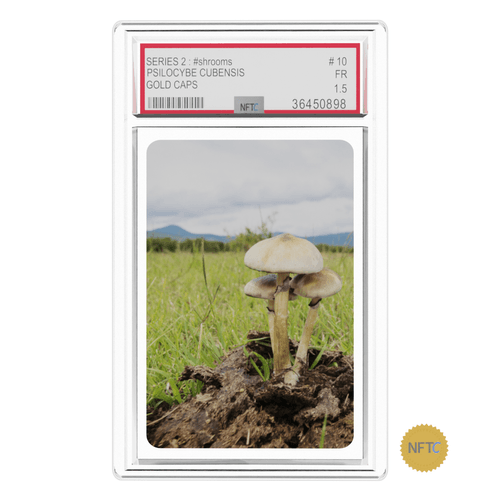 NFT.CARDS : SERIES 2 : #shrooms : #10 : GOLD CAPS