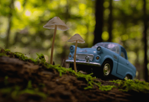 Minis Everywhere I Go