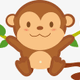 baby monkey