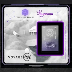 Voyage A/R   |   VIP Tickets collection image