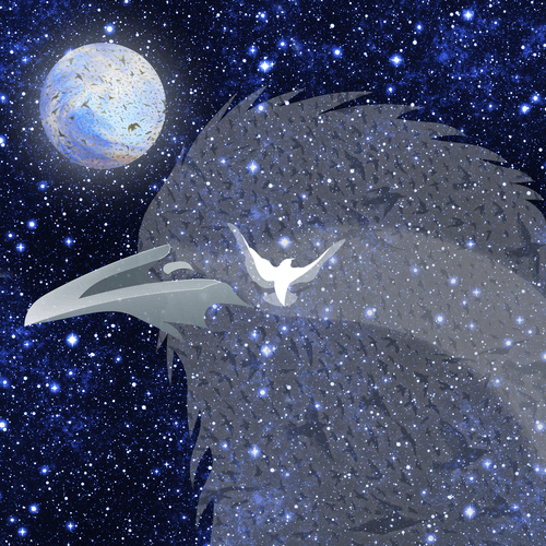 Starling 63