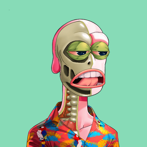 Anatomy Rare Apepe YC #4956