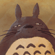 sleepytotoro