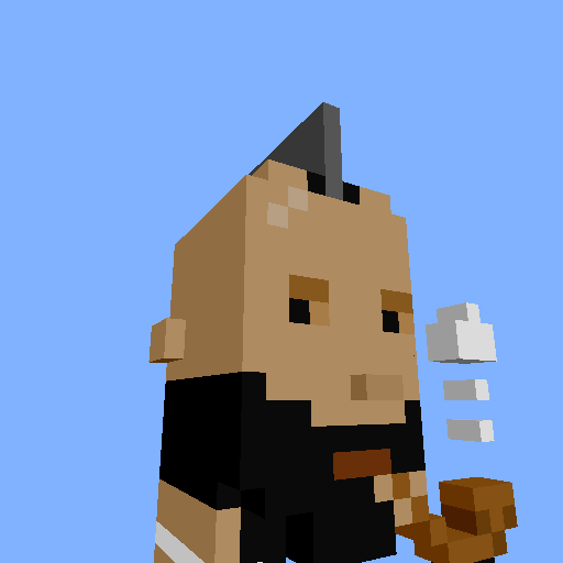 PunkVoxels #7881