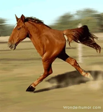 HorsHors