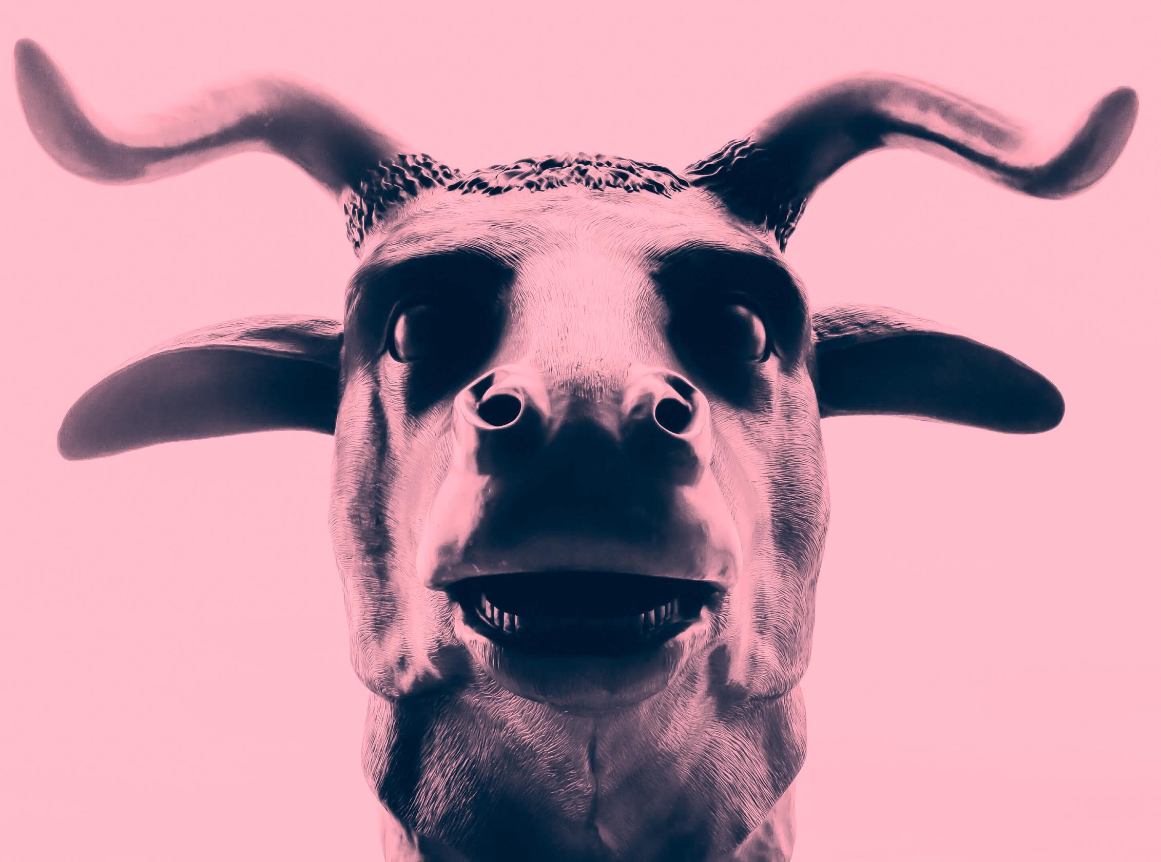 alexanderelerian