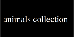 #Digital Birds Collection# collection image