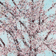Damien Hirst H9 Cherry Blossom