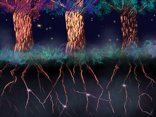 Twisted Trees Genesis 24