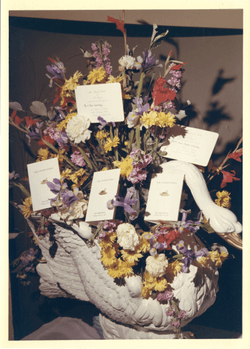 The Arthur Greenberg Archives: The Debutante Presentation Holiday (Season 1969) collection image