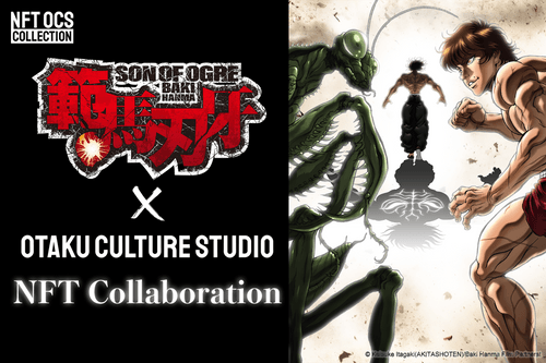 Otaku Culture Studio