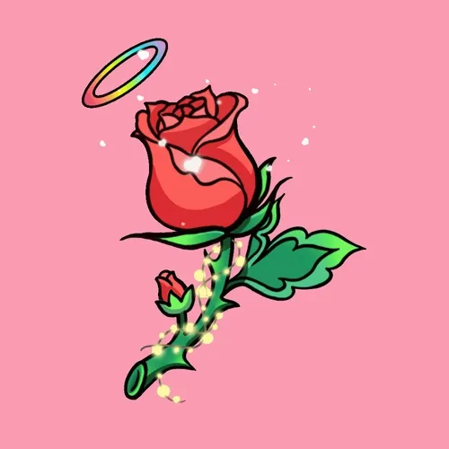 Cupid Love Rose