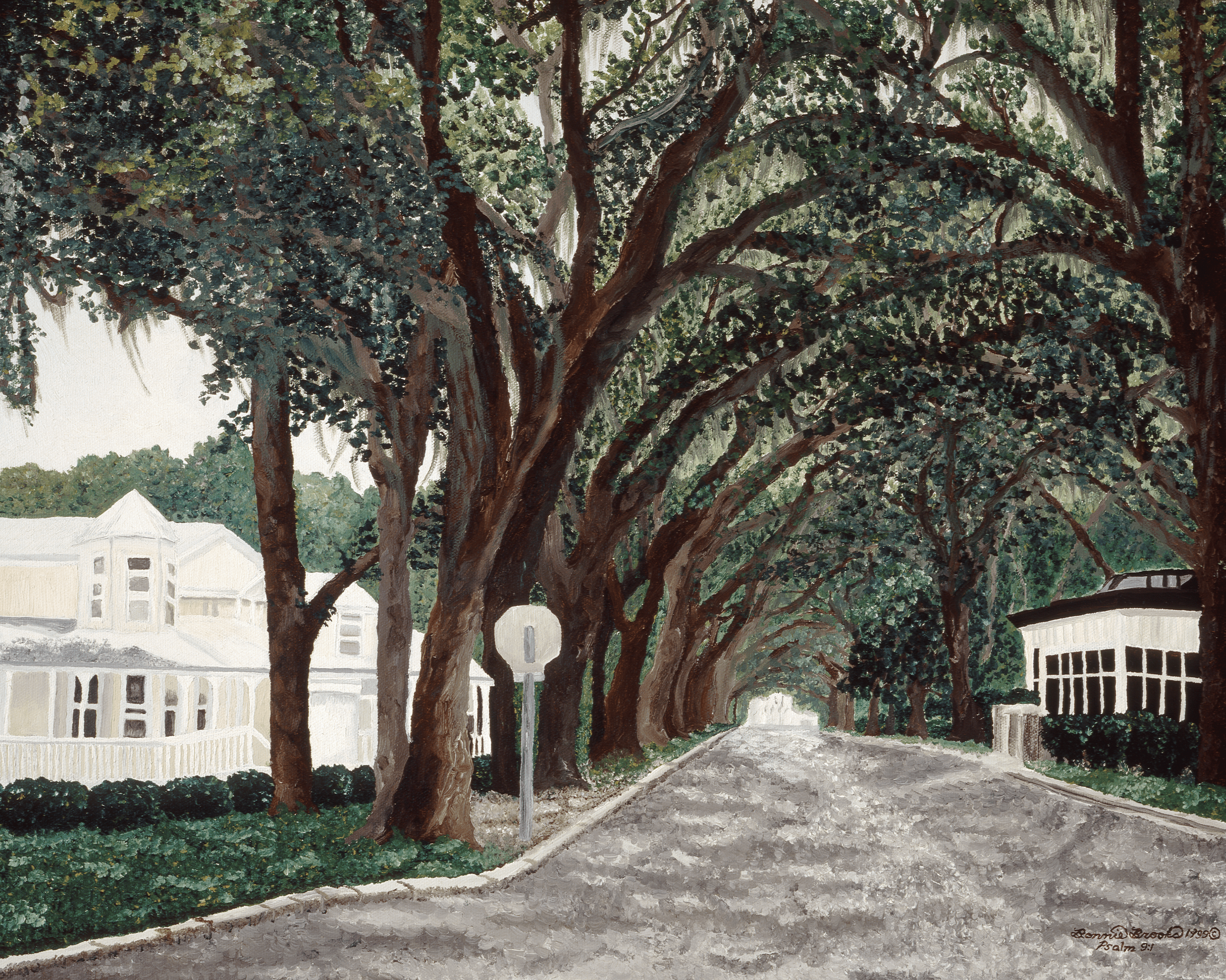 Saint Augustine Street Landscape