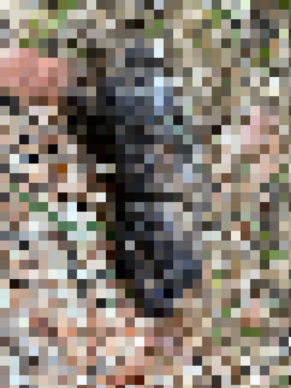 pixelated shit #161