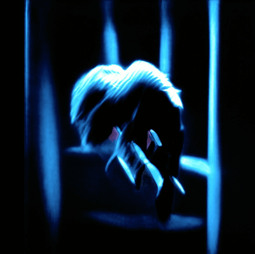 Machine nightscapes by Ivona Tau