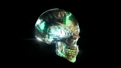 Chromitect Luxury Skulls collection image
