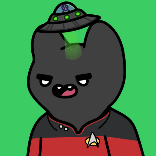Space Cat #5355