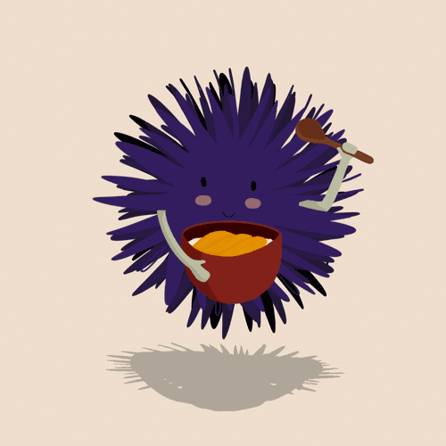 Sea Urchin (Uni)