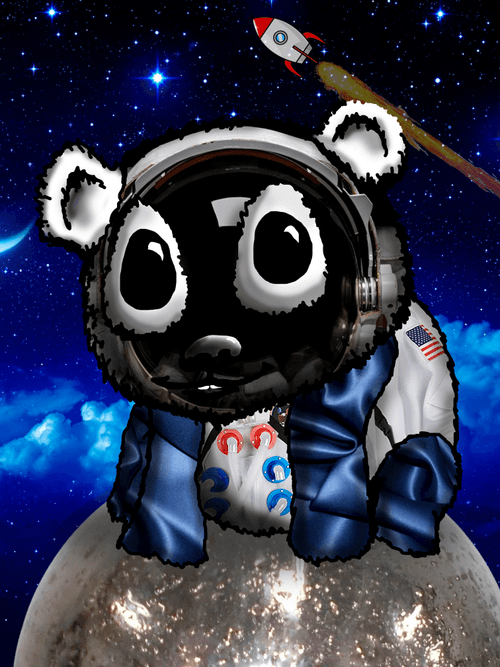 Astro Panda