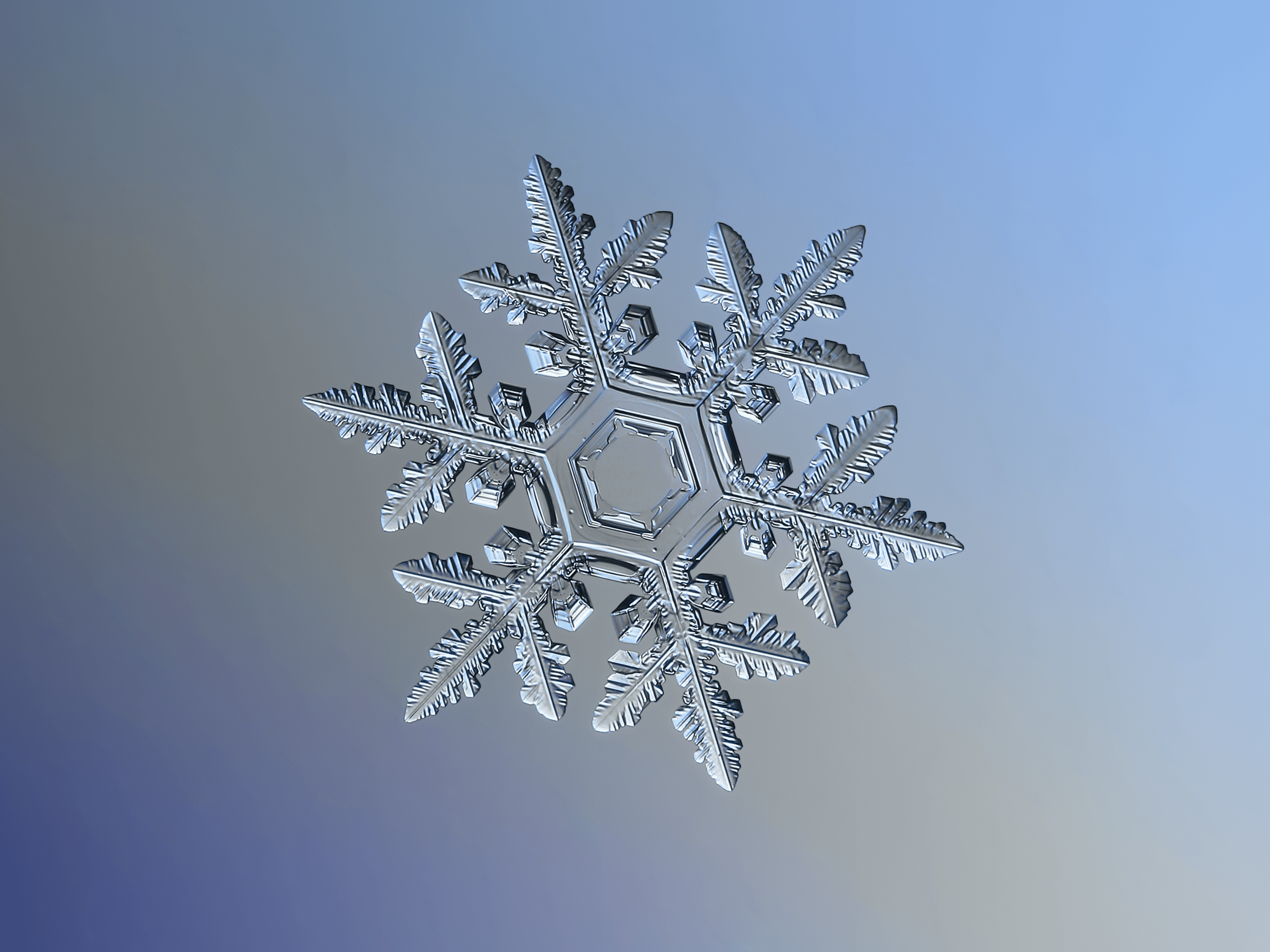 Snowflake 2016-01-23_9300-8