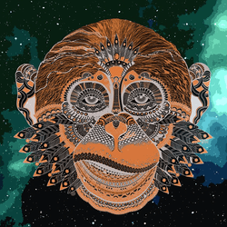 monkeypunk family collection image