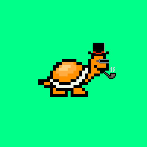 Turtle #854