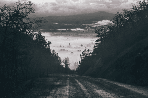 Moody Monochrome #21
