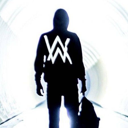 Alan Walker - Alan Walker Style | OpenSea