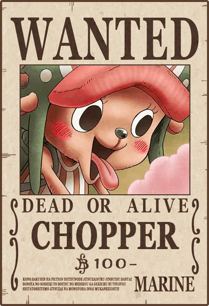 CHOPPER - One Piece Wanted #2