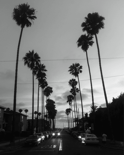 Something About Cali #111