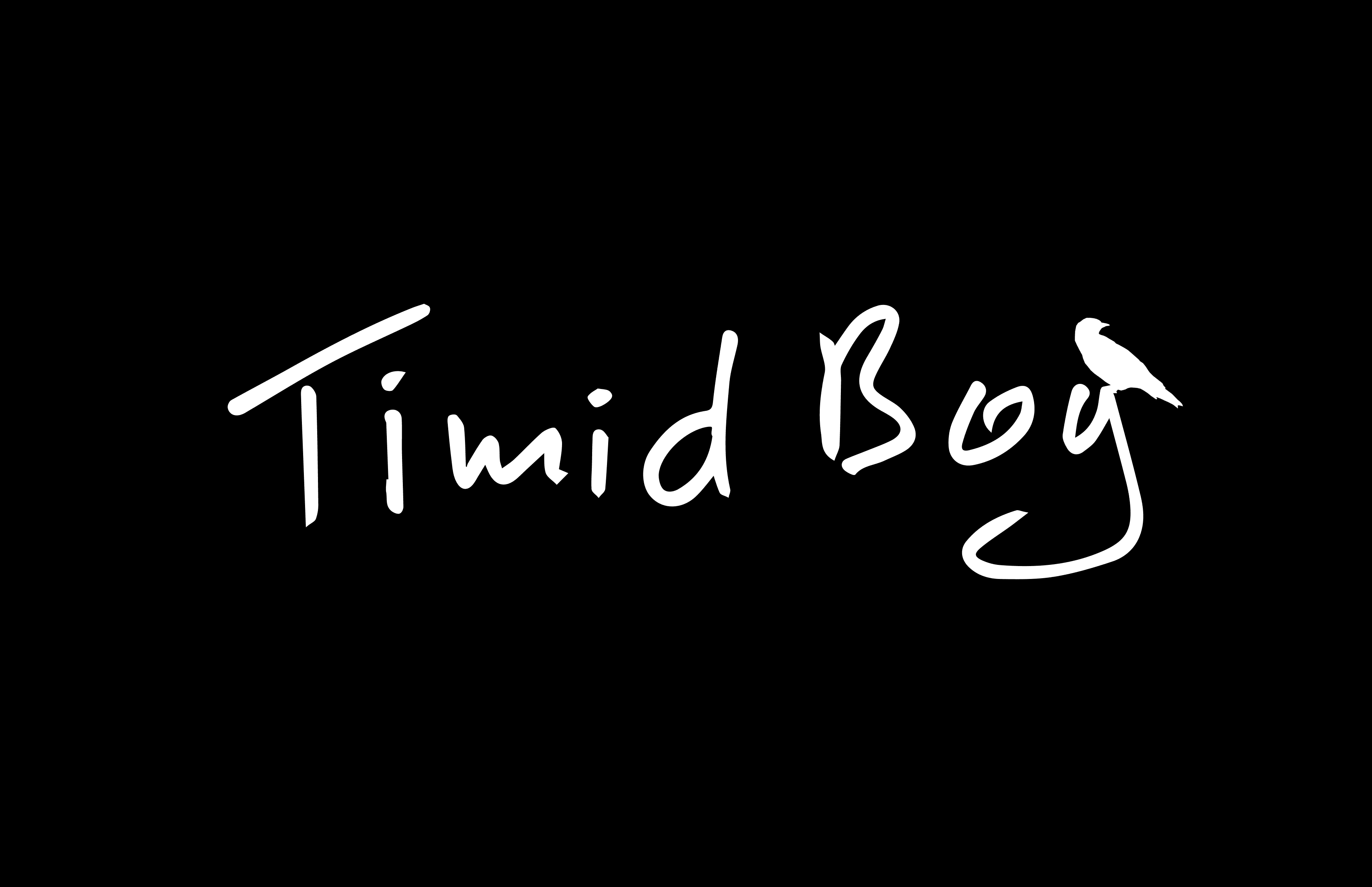TimidBoy