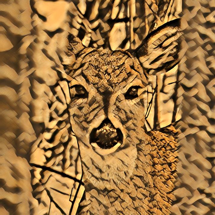 Art From Nature