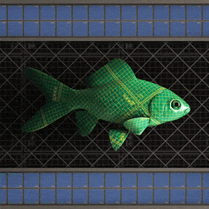 CryptoFish #23