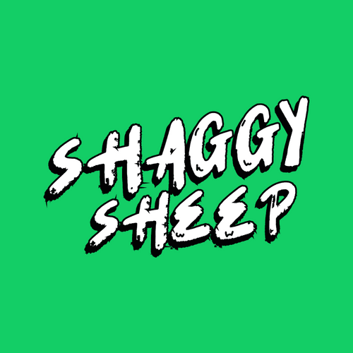 Shaggy Sheep