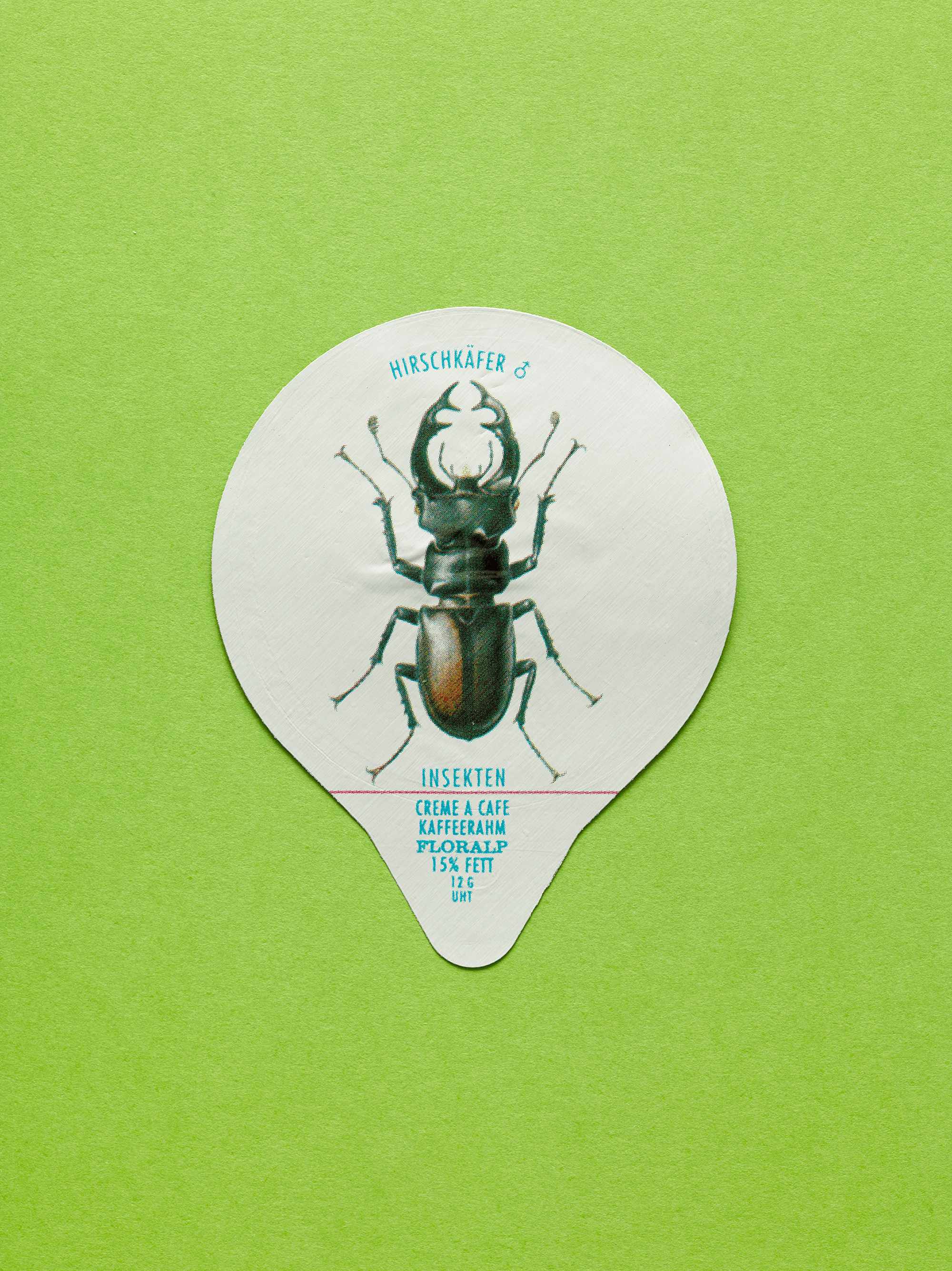 14 Stag Beetle