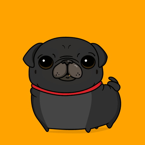 Dito the Pug #20