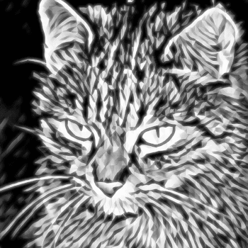 Spectral Cat